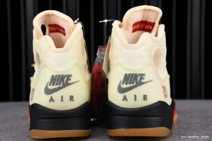 Reps LUCY 5 Jordan Retro DH8565-100 OFF-WHITE Sail 0624
